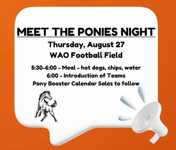 Meet the Ponies